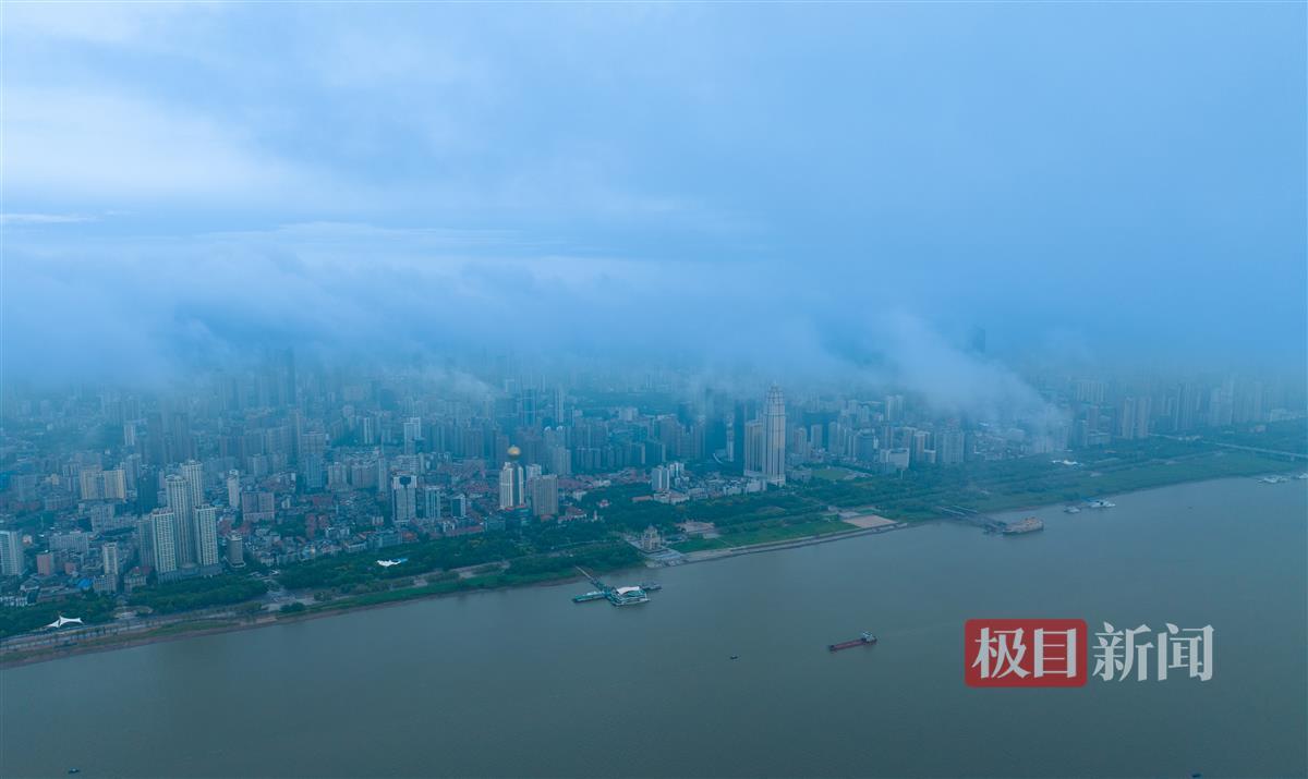 九五之尊的老网址